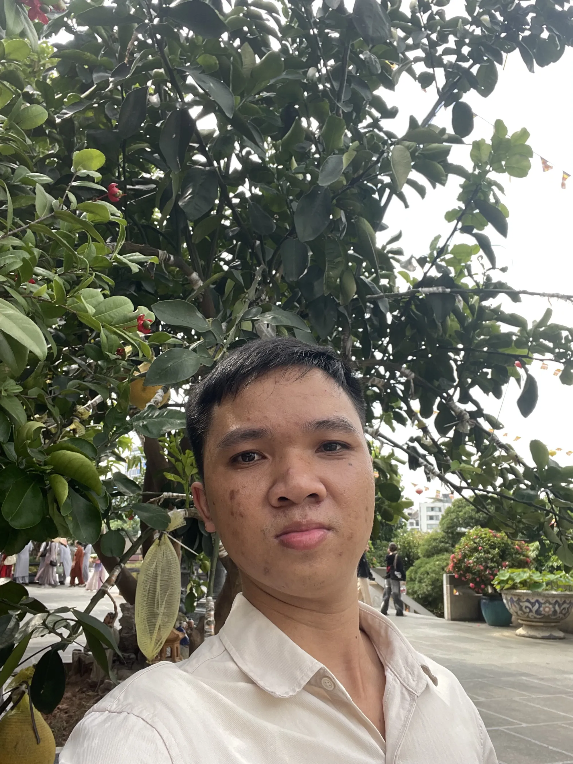 Phạm Hùng